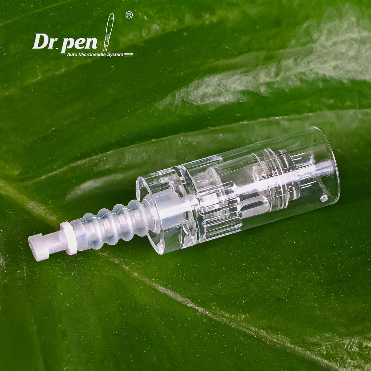 Set De 10 Agujas De12/24/36/42/nano Dermapen Dr Pen N2/m5/m7